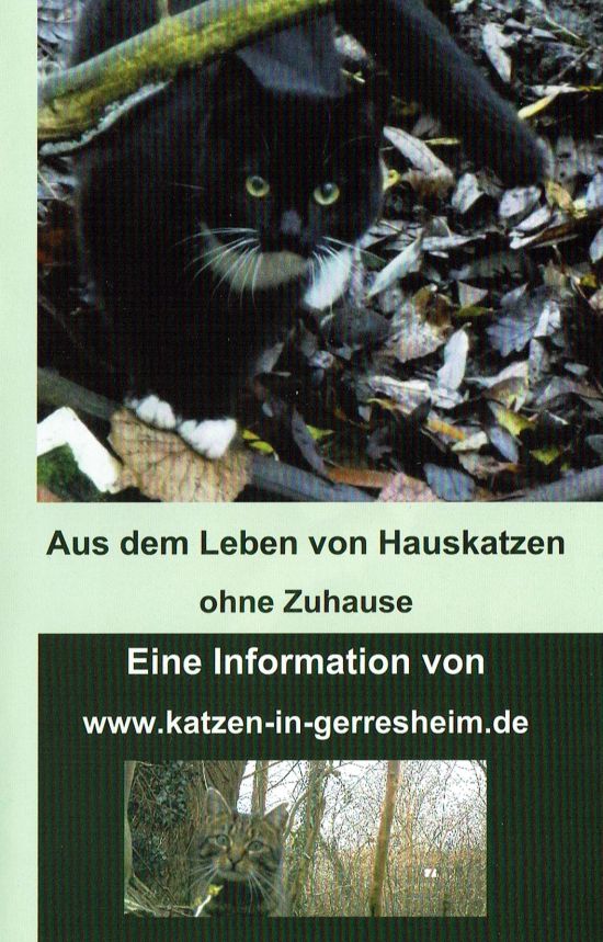 Smillo Buch Cover