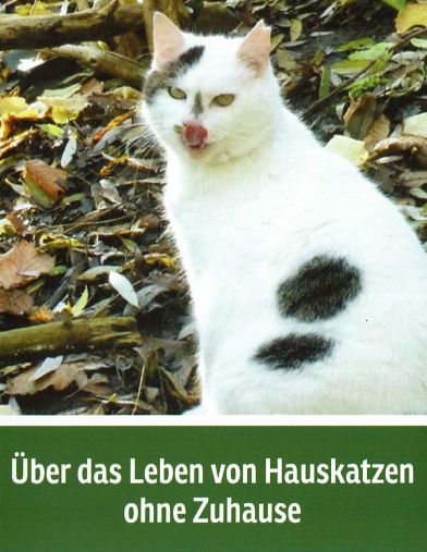 Smillo Buch Cover